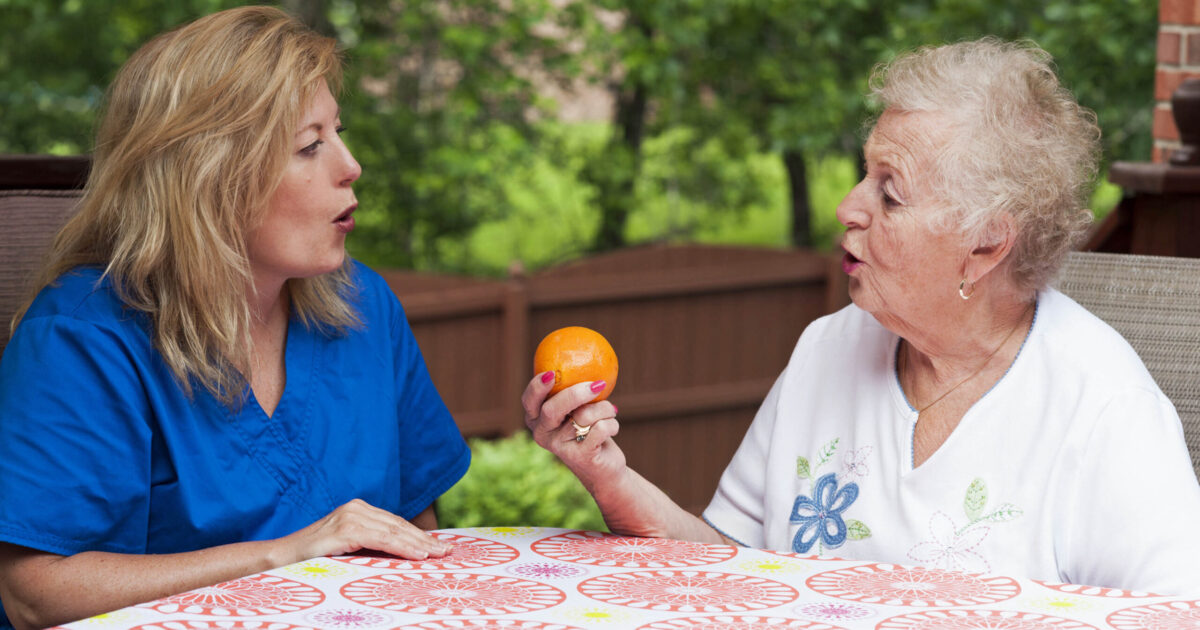 Speech language pathologist salary guide